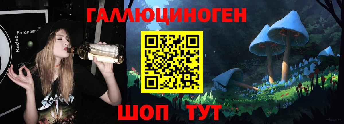 Анжеро-Судженск  Галлюциногенные грибы прущие грибы  Вход с VPN 